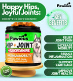 Pawious Hip and Joint Supplement for Dogs   Glucosamine for Dogs   Dog