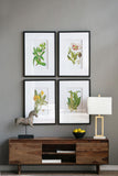 Set of 4 Botanical Flower Wall Art, Home Decor for Living Room, Dining Room, Bedroom, Hallway, 20" x 28"