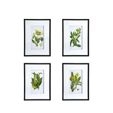 Set of 4 Botanical Flower Wall Art, Home Decor for Living Room, Dining Room, Bedroom, Hallway, 20" x 28"